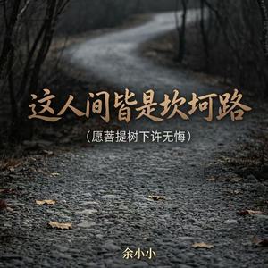 这人间皆是坎坷路（愿菩提树下许无悔）