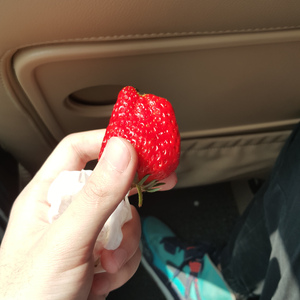 小小鹿（Cover 新月冰冰）