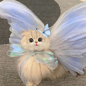 Ludaversal Intro (slowed)