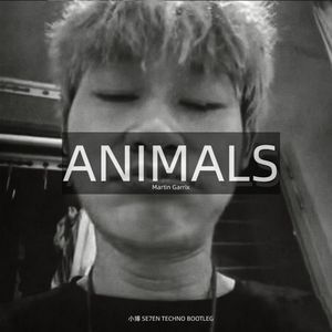 Martin Garrix - Animais(小博 SE7EN Techno Remake)
