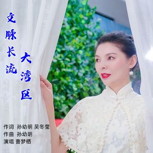 文脉长流大湾区