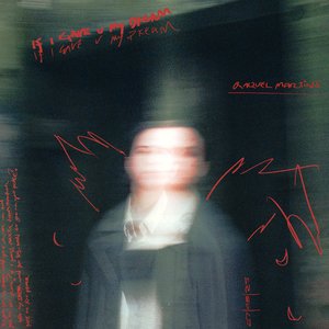 IF I GAVE U MY DREAM