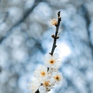 我活在自己的世界里