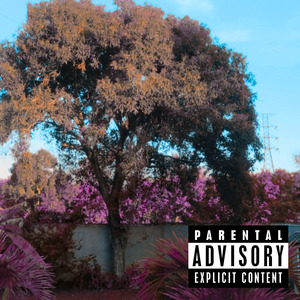 Um Cara Muito Tranquilo