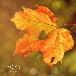 가을 안부