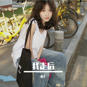 小咪-我走后（小7 remix）