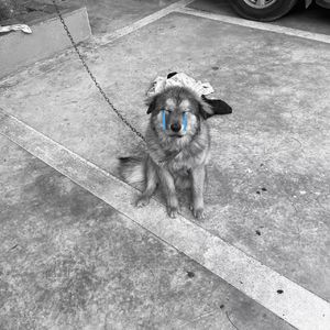 不回消息是在和别人做吗ft.李尔亚克