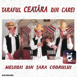 De Marș După Mireasă