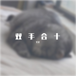 双手合十cover杨和苏