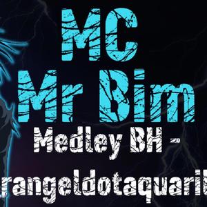 MTG - ELA VAI JOGA PROS CRIA DE BH - MEDLEY (feat. Mc Mr. Bim & Mc Magrinho)