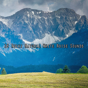 噪音中的一些平静