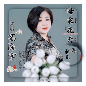 海棠花开再相见