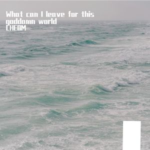 What can I leave for this goddamn world