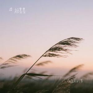 自己选的人伤的我最深