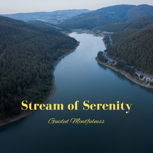 Whispers of Serenity by the Stream