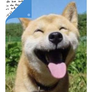 轻松幽默（配乐）