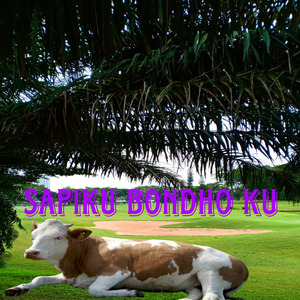 Sapiku Bondho Ku