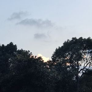 想 demo