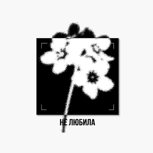 не любила
