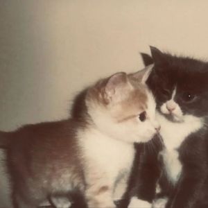 如果在相遇那一天就分手的话