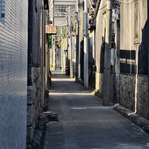 梦里出现之人带来期许与冲动