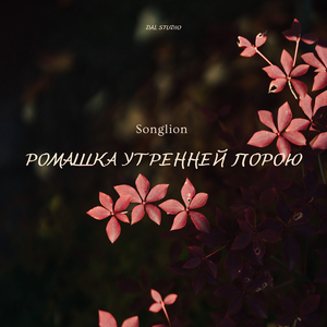 Ромашка утренней порою