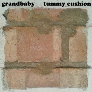 Tummy Cushion