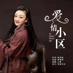 爱情小区 (DJ彭锐版)