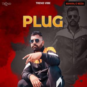 Plug
