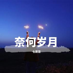 奈何岁月（烟嗓）