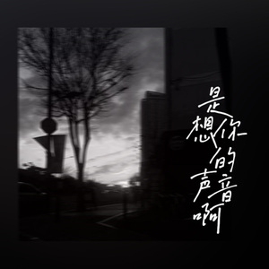 是想你的声音啊 (你听啊滴答滴)