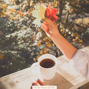 适合咖啡馆美丽的音乐