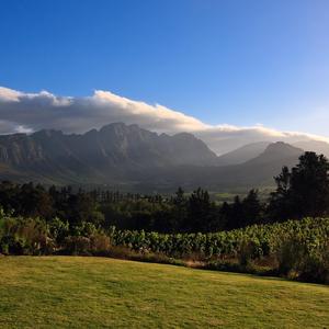 诉衷情（翻唱）