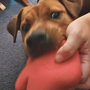 See You Once More (Version 1)