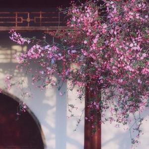 为何自己不听话