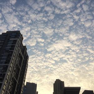 我的世界已坠入爱河/世界は恋に落ちている