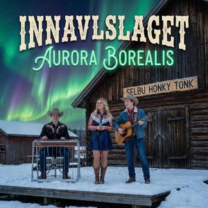 Fest i bygda