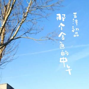 那个金色的中午 伴奏