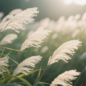 细草摇曳逐云舞