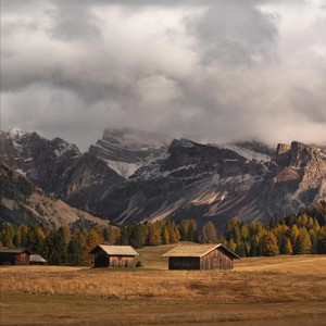 我只想要一个永久的依靠