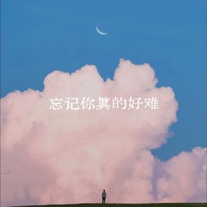 忘记你真的好难