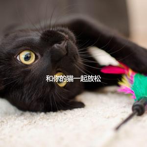 Happy Sleeping Cat Zone