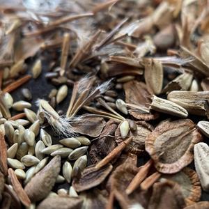 This Land's Not Your Land