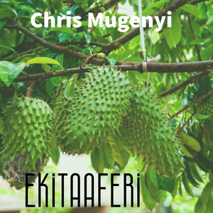 Obwaavu Kyambalo