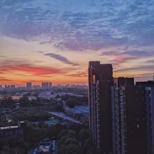 夏日胡言乱语 (Prod. by Orientlic)