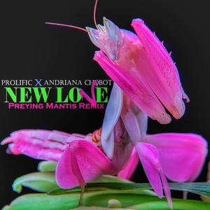 New Love (Preying Mantis Remix) (Preying Mantis Remix) (Preying Mantis Remix)