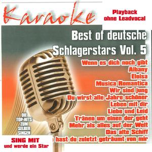 Wenn es Dich noch gibt (Instrumentalversion)