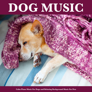 Music For Dogs