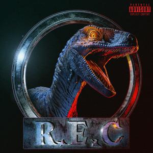 DGZ (feat. Solo & Guvpo)