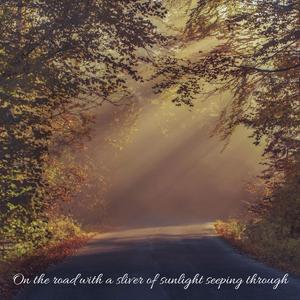 햇살 조각이 스며드는 길 위에